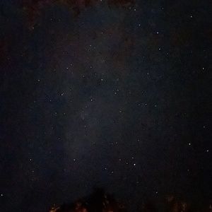 Meet your Posher, Maddie